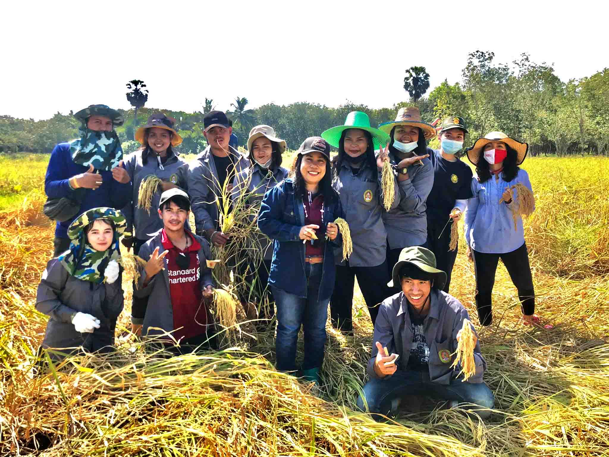 มรภ.สงขลา สืบสานวัฒนธรรมข้าวปีที่ 3