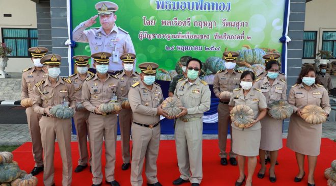 ฐานทัพเรือสงขลา ทัพเรือภาคที่ 2 อุดหนุนฟักทองเกษตรกรในพื้นที่อำเภอระโนด กว่า 3 ตัน