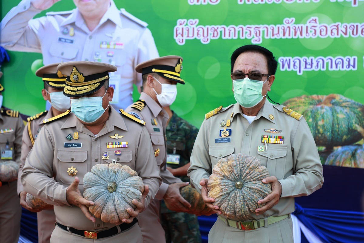 ฐานทัพเรือสงขลา ทัพเรือภาคที่ 2 อุดหนุนฟักทองเกษตรกรในพื้นที่อำเภอระโนด กว่า&nbsp;3&nbsp;ตัน