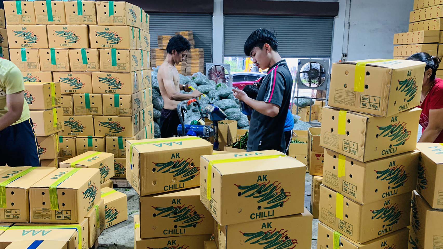พริกตกต่ำที่สุดในรอบ 10 ปี