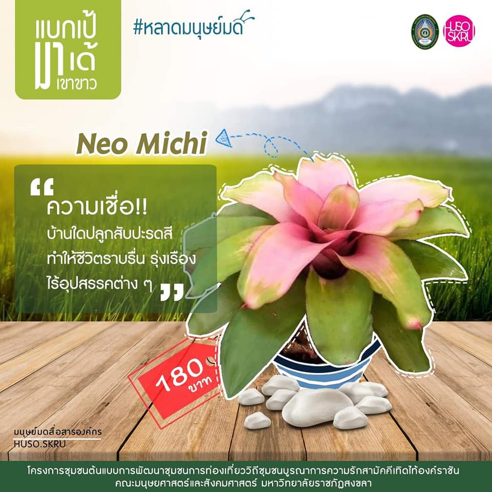 คณะมนุษยศาสตร์ฯ มรภ.สงขลา เปิดตัวตลาดนัดชุมชน “หลาดมนุษย์มด” ของดีสตูล