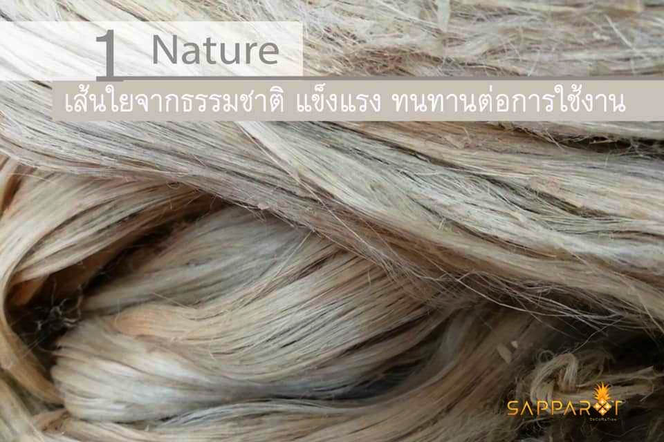 ม.หาดใหญ่ จับมือ มทร.ศรีวิชัย พัฒนาแบรนด์ “SAPPAROT” แข่งขันระดับประเทศ