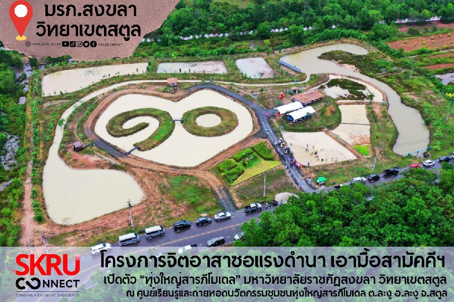 มรภ.สงขลา ทำโครงการจิตอาสาซอแรงดำนา เอามื้อสามัคคี เปิดตัว “ทุ่งใหญ่สารภีโมเดล”