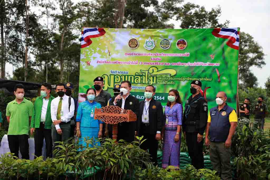 ศอ.บต. นำร่องมอบพันธุ์กล้าไม้ และไม้มีค่ากว่า 500,000 ต้น เพื่อส่งเสริมการปลูกพืชเศรษฐกิจใหม่