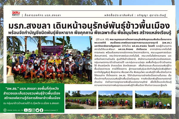 มรภ.สงขลา เดินหน้าอนุรักษ์พันธุ์ข้าวพื้นเมือง