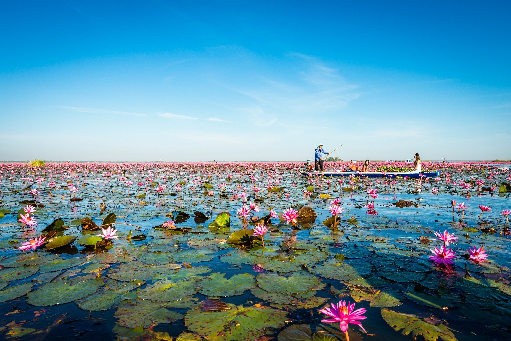 ไทยเวียตเจ็ทเดินหน้าขยายเส้นทางบินข้ามภูมิภาค เชื่อมภูเก็ต - อุดรธานี เริ่ม 18 กุมภาฯ นี้